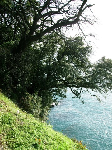 360x480